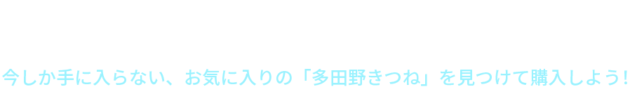 DMM GAMES公式Twitterキャラクター「多田野きつね」をテーマに、約50人のクリエイターがオリジナルカラー溢れる「多田野きつね」を完全描きおろし！今しか手に入らない、お気に入りの「多田野きつね」を見つけて購入しよう！